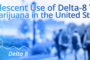 Adolescent Use of Delta-8 THC and Marijuana in the United States